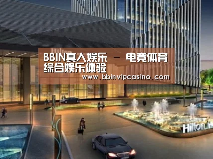 案例展示二