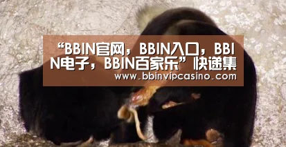 “BBIN官网,BBIN入口,BBIN电子,BBIN百家乐”快递集体涨价折射同质化竞争严重(图1) BBIN官网,BBIN入口,BBIN电子,BBIN百家乐