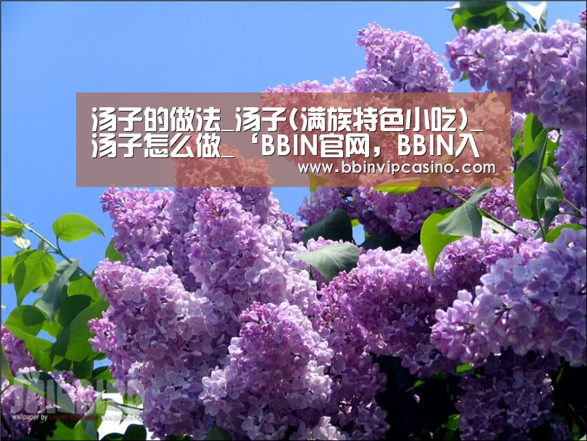 BBIN官网，BBIN入口，BBIN电子，BBIN百家乐