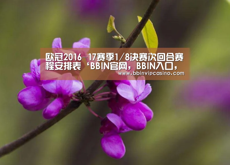 BBIN官网，BBIN入口，BBIN电子，BBIN百家乐