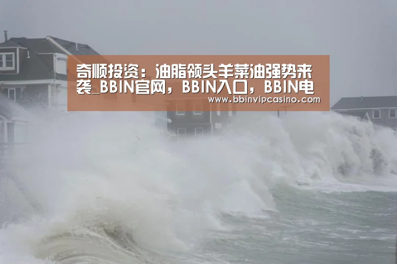 奇顺投资:油脂领头羊菜油强势来袭_BBIN官网,BBIN入口,BBIN电子,BBIN百家乐(图2) BBIN官网,BBIN入口,BBIN电子,BBIN百家乐