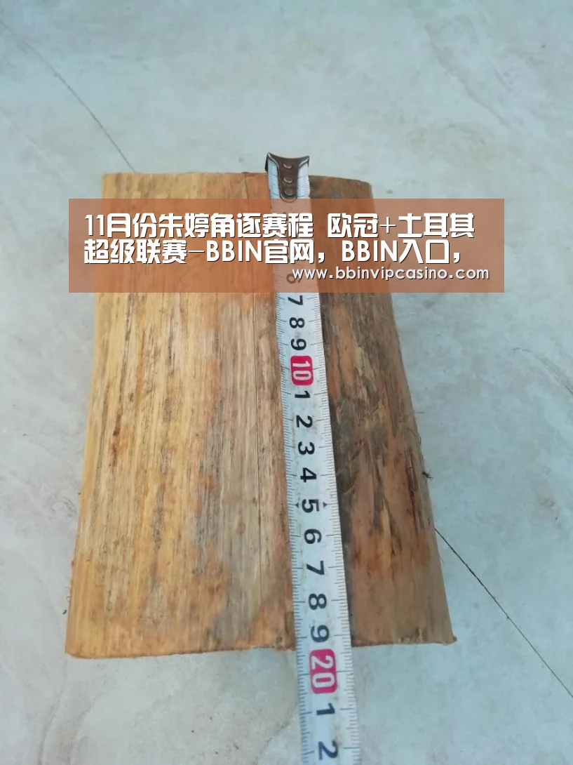 BBIN官网，BBIN入口，BBIN电子，BBIN百家乐