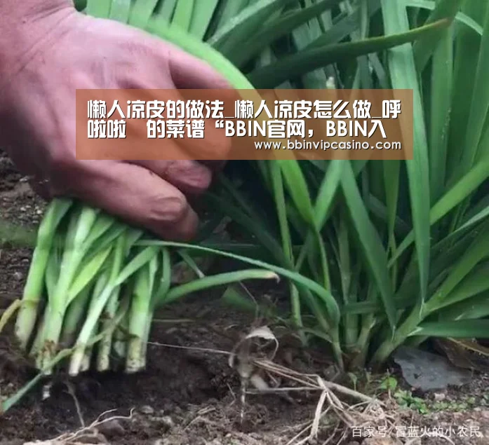 懒人凉皮的做法_懒人凉皮怎么做_呼啦啦•的菜谱“BBIN官网,BBIN入口,BBIN电子,BBIN百家乐”(图2) BBIN官网,BBIN入口,BBIN电子,BBIN百家乐