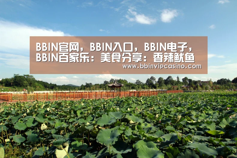 BBIN官网，BBIN入口，BBIN电子，BBIN百家乐
